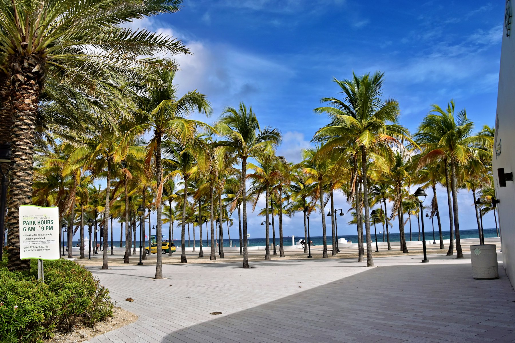 Florida landscape